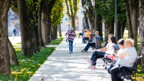 Szatmárnémeti őszi színekben pompázik